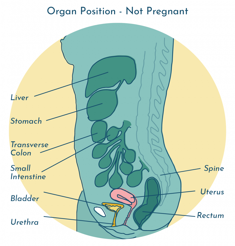 Can Pregnancy Be Mistaken for Uti?